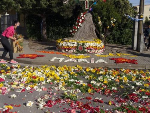 24a02950-2495-4c1a-98a6-ab70e7bf67c5