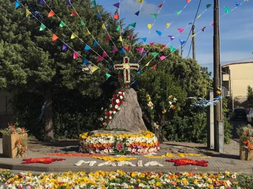 a872d6c0-81e6-4a41-9633-c7327257c8e8