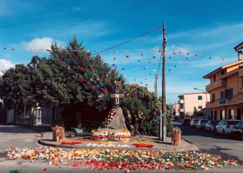 d790aa1f-561e-4cc1-b091-663456290212