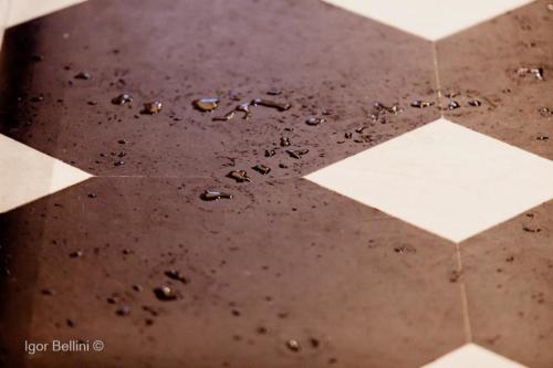 62 Cres Com Marrubiu-0922