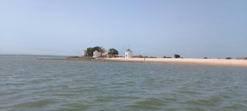 Lyc Phalais 2023-478