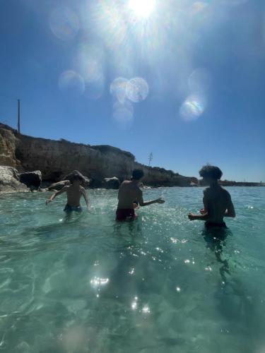 WhatsApp-Image-2024-08-02-at-07.45.55