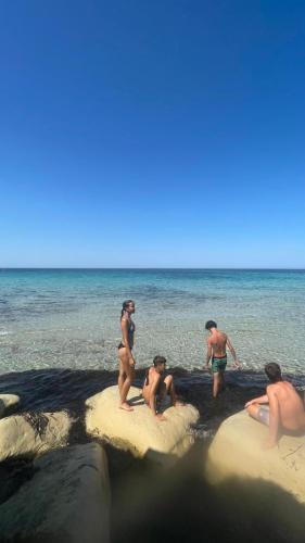 WhatsApp-Image-2024-08-02-at-07.45.56