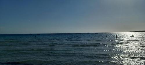 WhatsApp-Image-2024-08-02-at-07.46.20-1