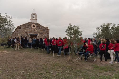 WhatsApp-Image-2024-10-29-at-13.45.57-1