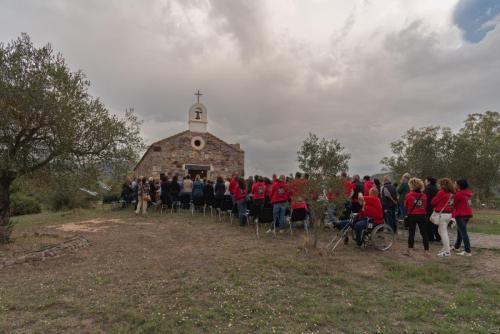 WhatsApp-Image-2024-10-29-at-13.45.57