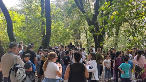 WhatsApp-Image-2025-05-19-at-13.00.07