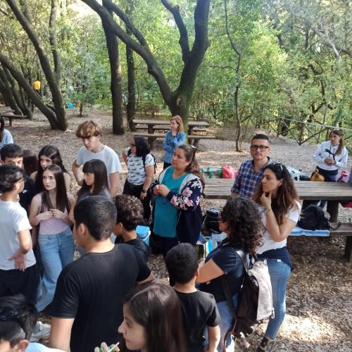 WhatsApp-Image-2025-05-19-at-13.00.31