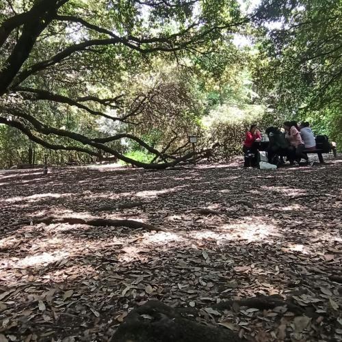 WhatsApp-Image-2025-05-19-at-13.00.34-2