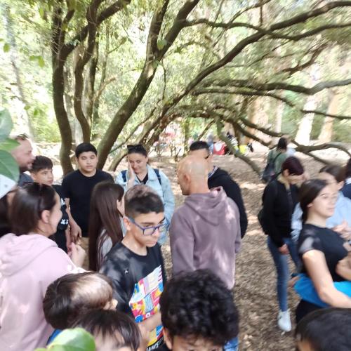 WhatsApp-Image-2025-05-19-at-13.00.34