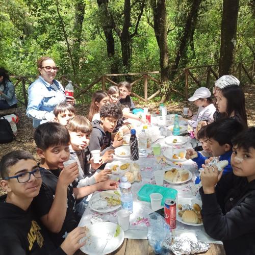 WhatsApp-Image-2025-05-19-at-13.00.36