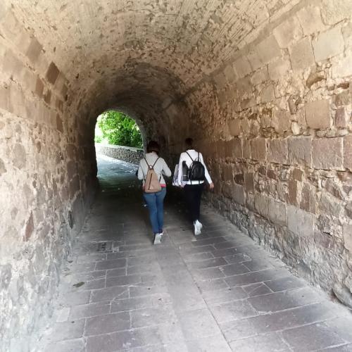 WhatsApp-Image-2025-05-19-at-13.00.38-2