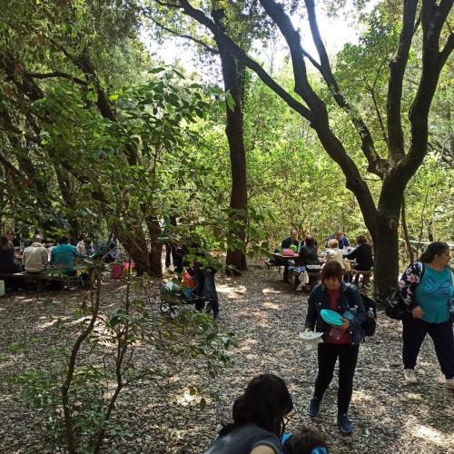 WhatsApp-Image-2025-05-19-at-13.00.38