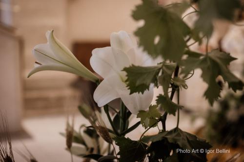 Comunioni Marrubiu 1465