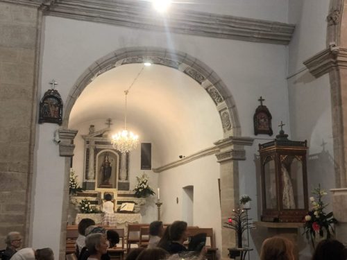 Rinnovo-impegni-Confraternita-56